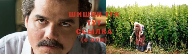 МДПВ Нефтегорск